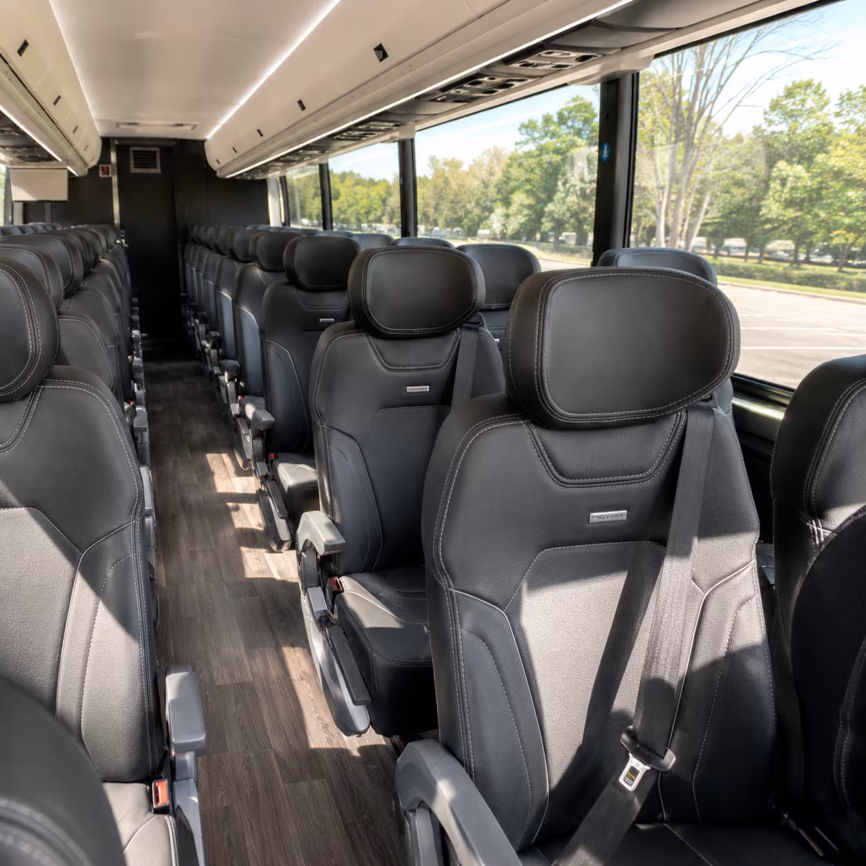 hayward bus rental service area
